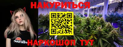 СК Краснодар