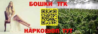СК Краснодар