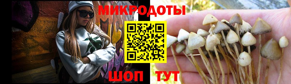 наркошоп  Вход с VPN  Псилоцибиновые грибы Cubensis  Торжок  Псилоцибиновые грибы ЛСД 